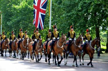 998044_10151641308448075_533861910_n