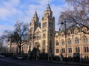 Natural-History-Museum-london-uk