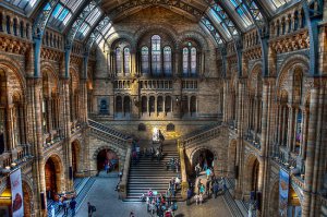 Natural-History-Museum