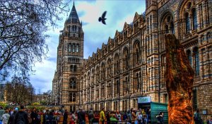 Natural History Museum