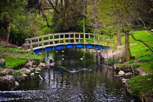 Regents Park Bridge