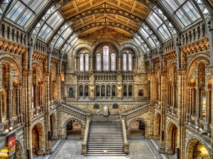 natural-history-museum-london (1)