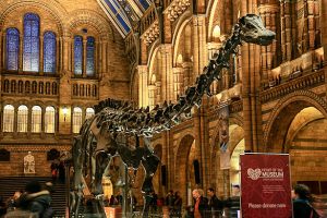 natural-history-museum-london