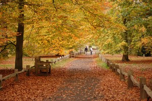 2056051788_edcd09564f