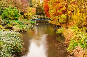 6518250211_f21d4a938a