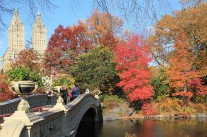Beautiful autumn views of Central Park in New York (17)
