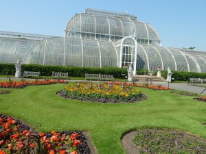 Exteriors_of_the_Kew_Gardens_Palm_House_P1170549