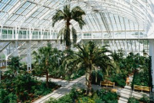 kew_gardens_temperate_house