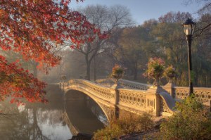 new-york-autumn