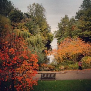 St James Park in Autumn_thumb